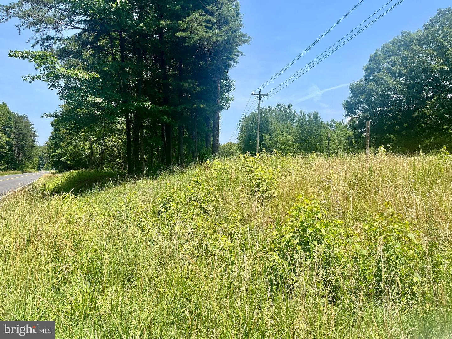 LOT 2 KENTUCKY SPRINGS RD, BUMPASS, Virginia 23024, ,Land,For sale,LOT 2 KENTUCKY SPRINGS RD,VALA2008042 MLS # VALA2008042