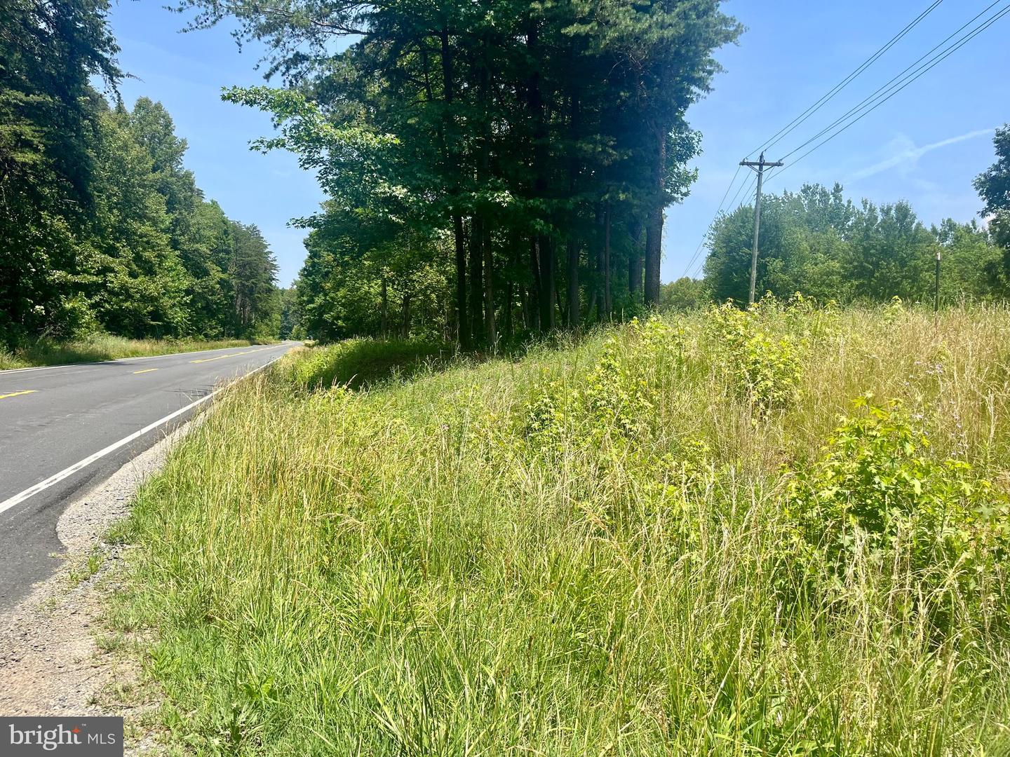 LOT 2 KENTUCKY SPRINGS RD, BUMPASS, Virginia 23024, ,Land,For sale,LOT 2 KENTUCKY SPRINGS RD,VALA2008042 MLS # VALA2008042