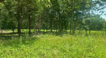 LOT 2 KENTUCKY SPRINGS RD, BUMPASS, Virginia 23024, ,Land,For sale,LOT 2 KENTUCKY SPRINGS RD,VALA2008042 MLS # VALA2008042