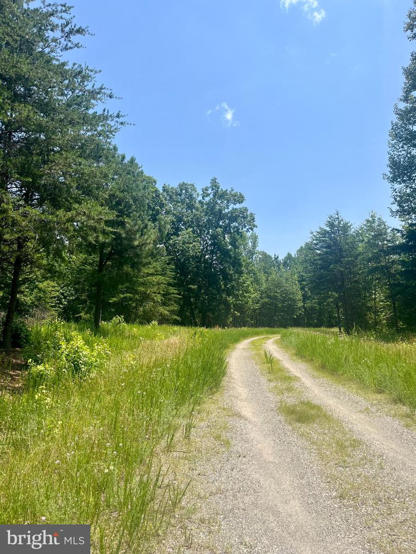 LOT 3 KIMBERLY CT, BUMPASS, Virginia 23024, ,Land,For sale,LOT 3 KIMBERLY CT,VALA2008044 MLS # VALA2008044