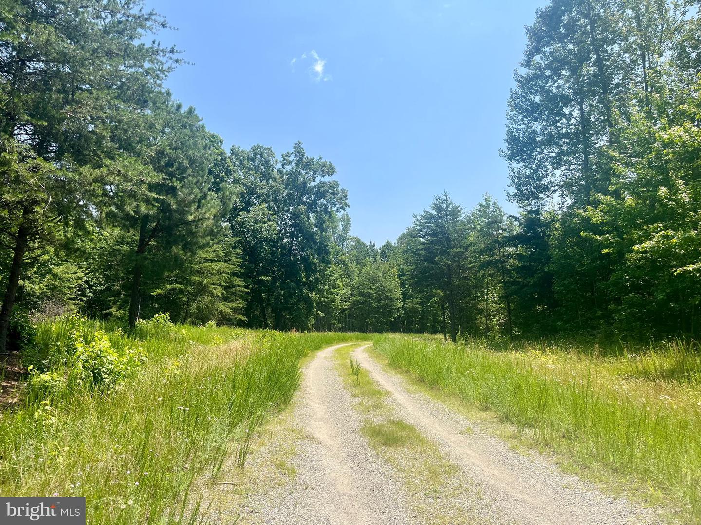 LOT 3 KIMBERLY CT, BUMPASS, Virginia 23024, ,Land,For sale,LOT 3 KIMBERLY CT,VALA2008044 MLS # VALA2008044