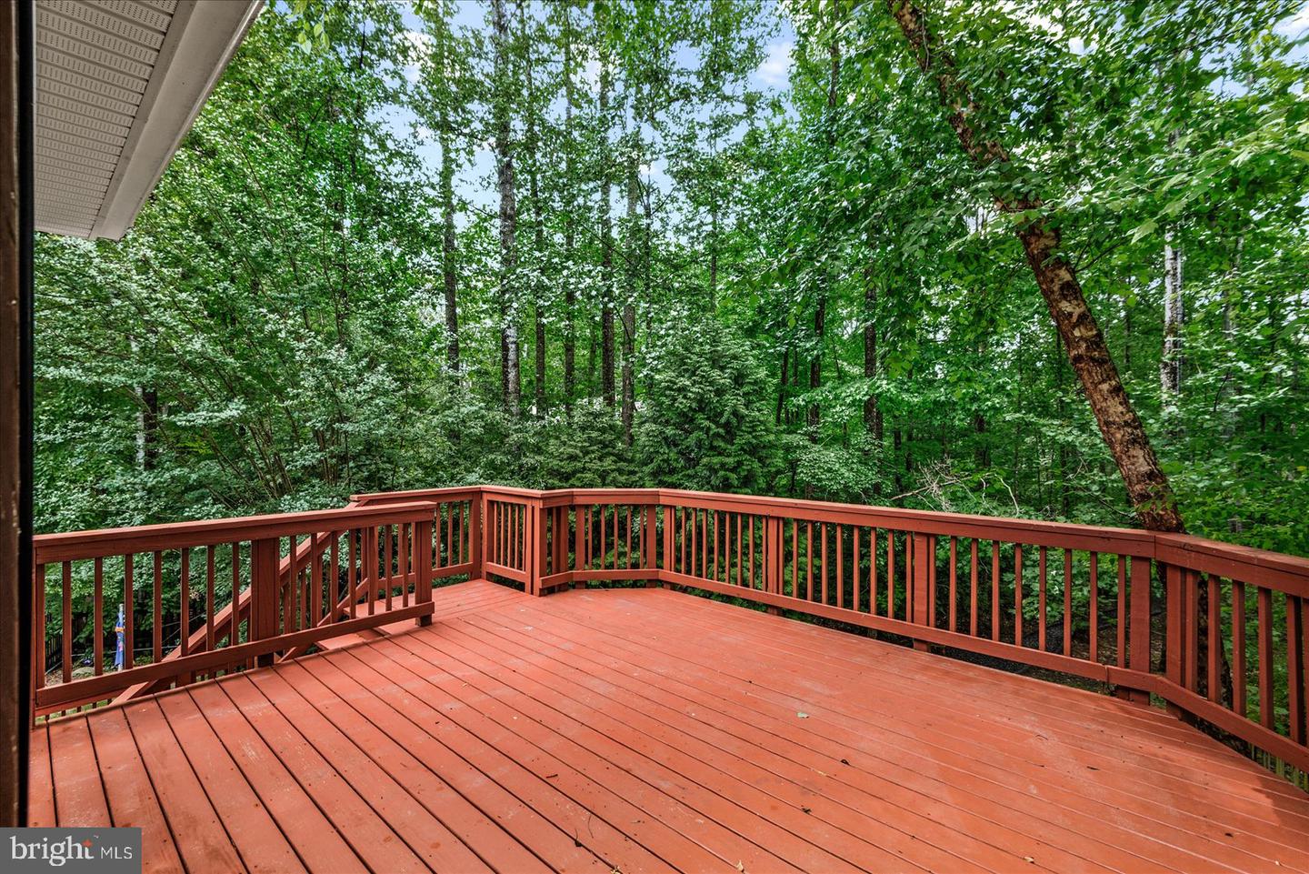 7924 GOLD LEAF CIR, SPOTSYLVANIA, Virginia 22551, 5 Bedrooms Bedrooms, ,4 BathroomsBathrooms,Residential,For sale,7924 GOLD LEAF CIR,VASP2032052 MLS # VASP2032052