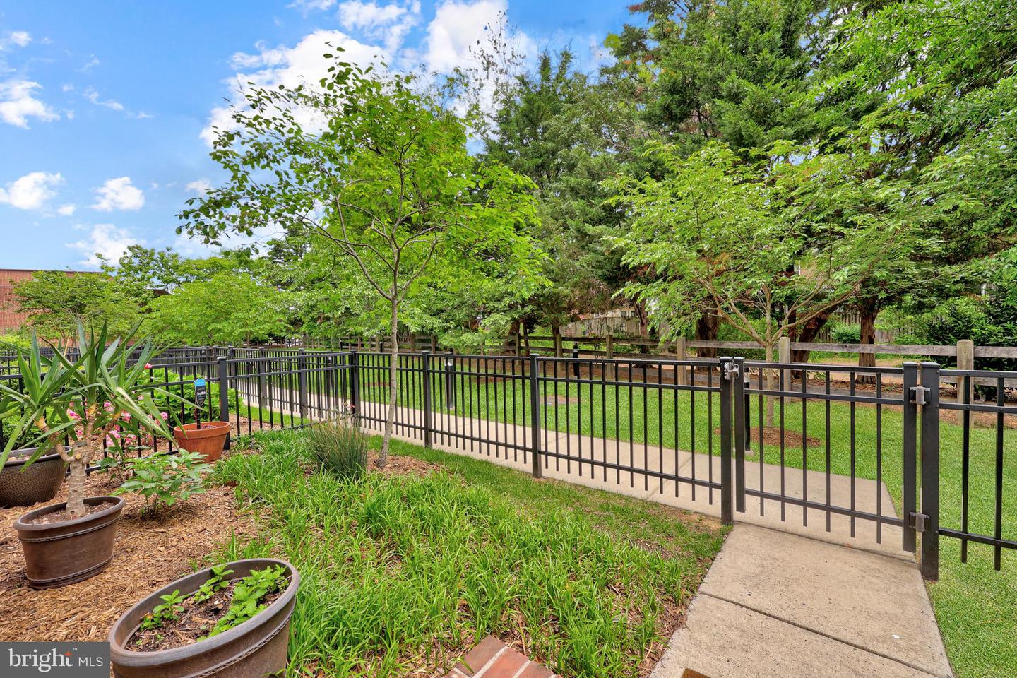 1353 POWHATAN ST, ALEXANDRIA, Virginia 22314, 3 Bedrooms Bedrooms, ,3 BathroomsBathrooms,Residential,For sale,1353 POWHATAN ST,VAAX2044042 MLS # VAAX2044042