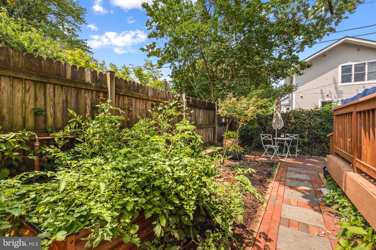 19 W WYATT AVE, ALEXANDRIA, Virginia 22301, 4 Bedrooms Bedrooms, ,3 BathroomsBathrooms,Residential,For sale,19 W WYATT AVE,VAAX2044468 MLS # VAAX2044468