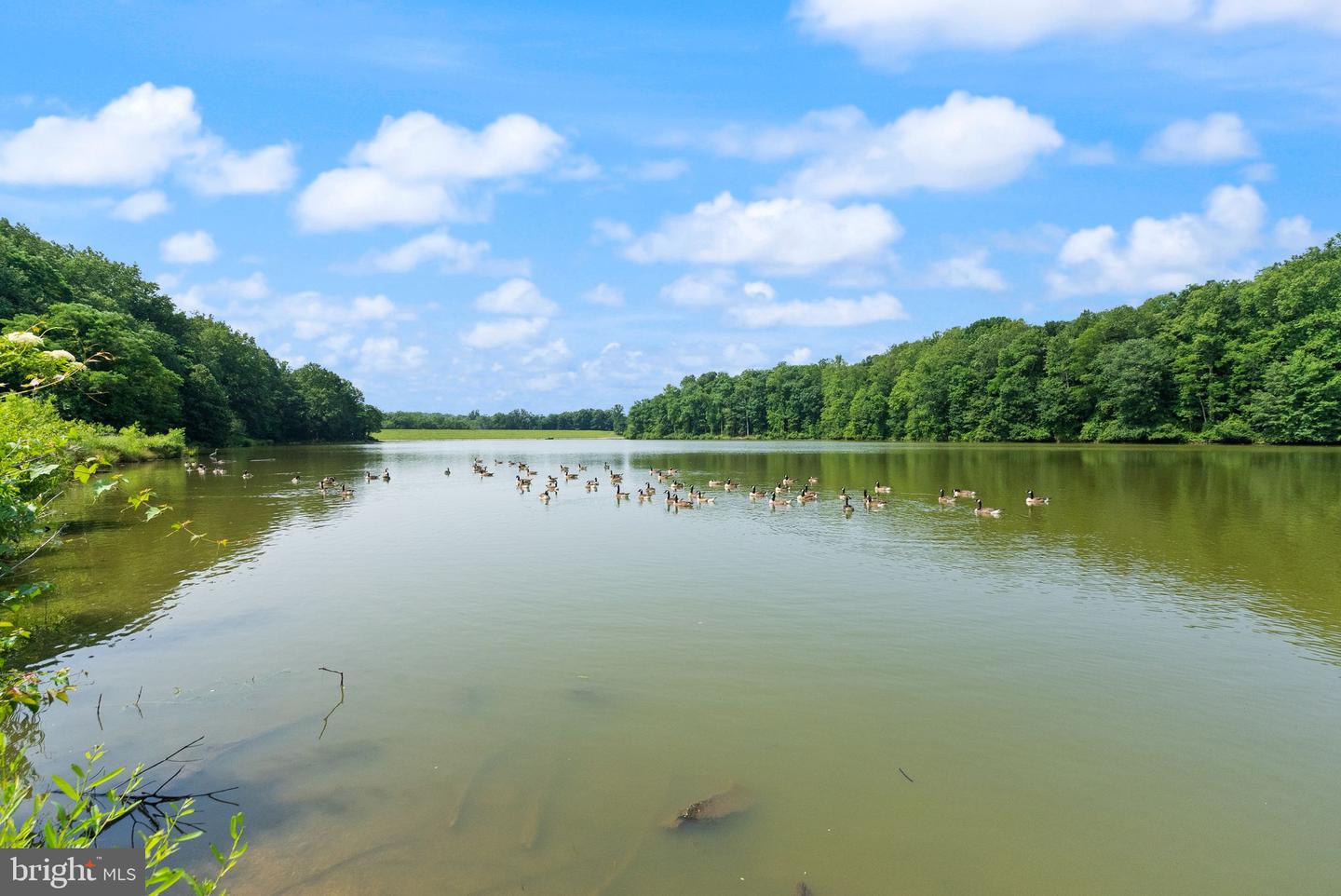 9882 HIGH WATER CT, BURKE, Virginia 22015, 3 Bedrooms Bedrooms, ,2 BathroomsBathrooms,Residential,For sale,9882 HIGH WATER CT,VAFX2240130 MLS # VAFX2240130
