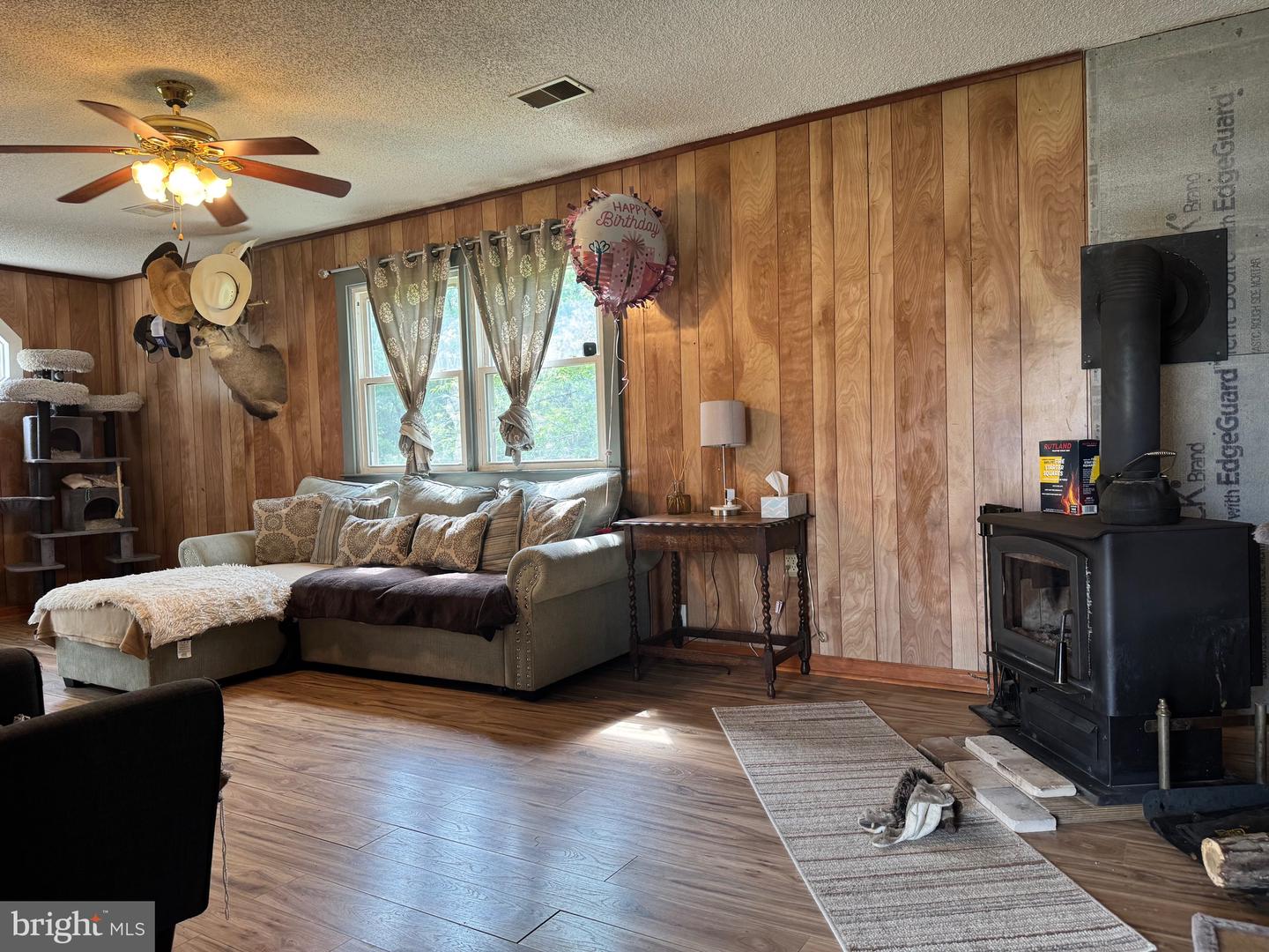 633 RIDGE VIEW LN, SHENANDOAH, Virginia 22849, 3 Bedrooms Bedrooms, ,2 BathroomsBathrooms,Residential,For sale,633 RIDGE VIEW LN,VAPA2004932 MLS # VAPA2004932