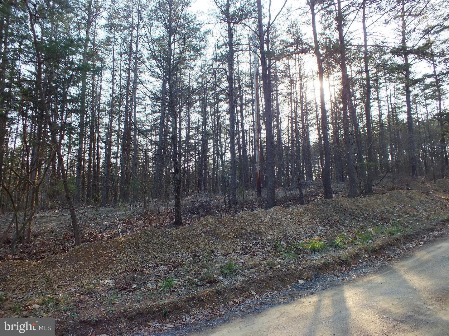 LOT 15 PINE CREST LN, WINCHESTER, Virginia 22603, ,Land,For sale,LOT 15 PINE CREST LN,VAFV2034926 MLS # VAFV2034926