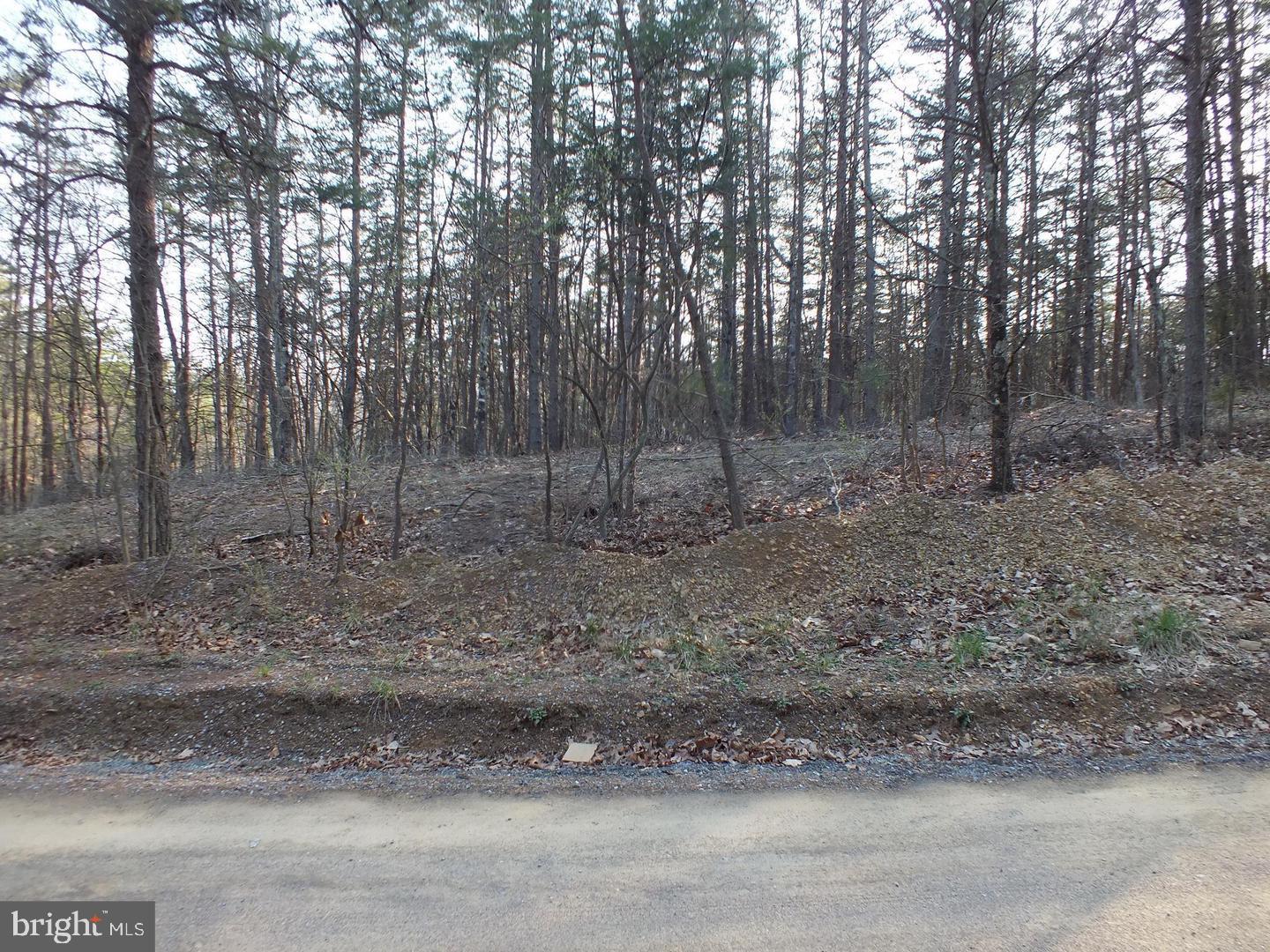 LOT 15 PINE CREST LN, WINCHESTER, Virginia 22603, ,Land,For sale,LOT 15 PINE CREST LN,VAFV2034926 MLS # VAFV2034926