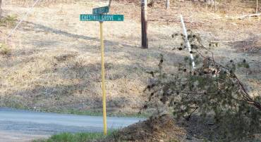 LOT 15 PINE CREST LN, WINCHESTER, Virginia 22603, ,Land,For sale,LOT 15 PINE CREST LN,VAFV2034926 MLS # VAFV2034926