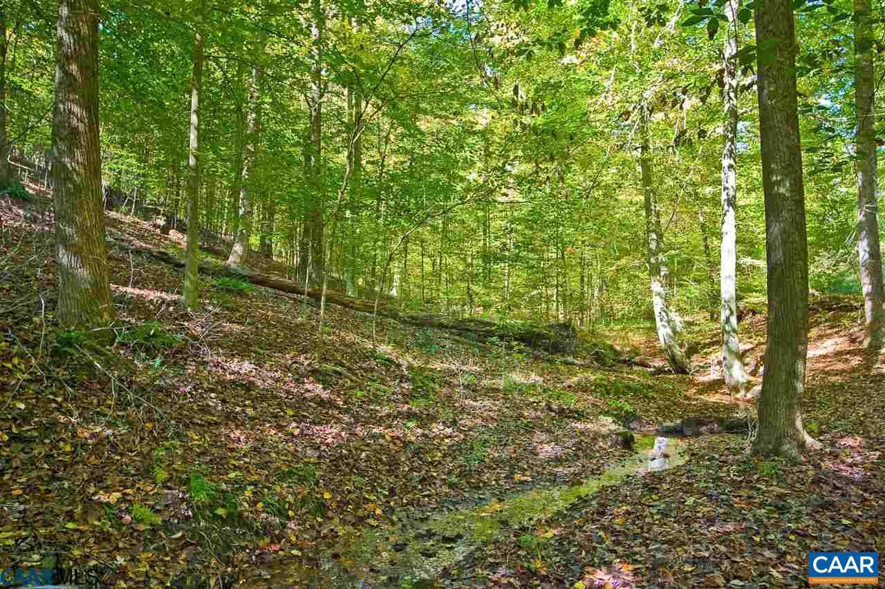 LOT 4 PR DAVENTRY LN #4, CHARLOTTESVILLE, Virginia 22911, ,Land,For sale,LOT 4 PR DAVENTRY LN #4,665764 MLS # 665764