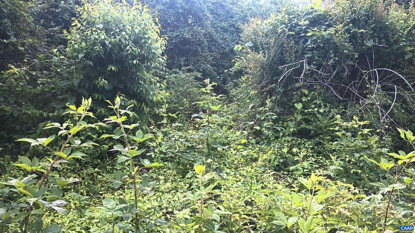 TBD ROCKFISH VALLEY HWY, NELLYSFORD, Virginia 22958, ,Land,For sale,TBD ROCKFISH VALLEY HWY,665771 MLS # 665771