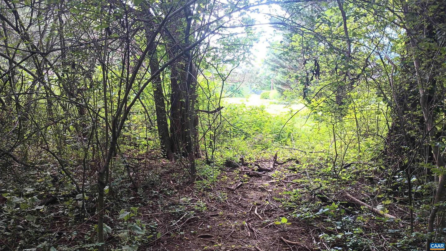 TBD ROCKFISH VALLEY HWY, NELLYSFORD, Virginia 22958, ,Land,For sale,TBD ROCKFISH VALLEY HWY,665771 MLS # 665771