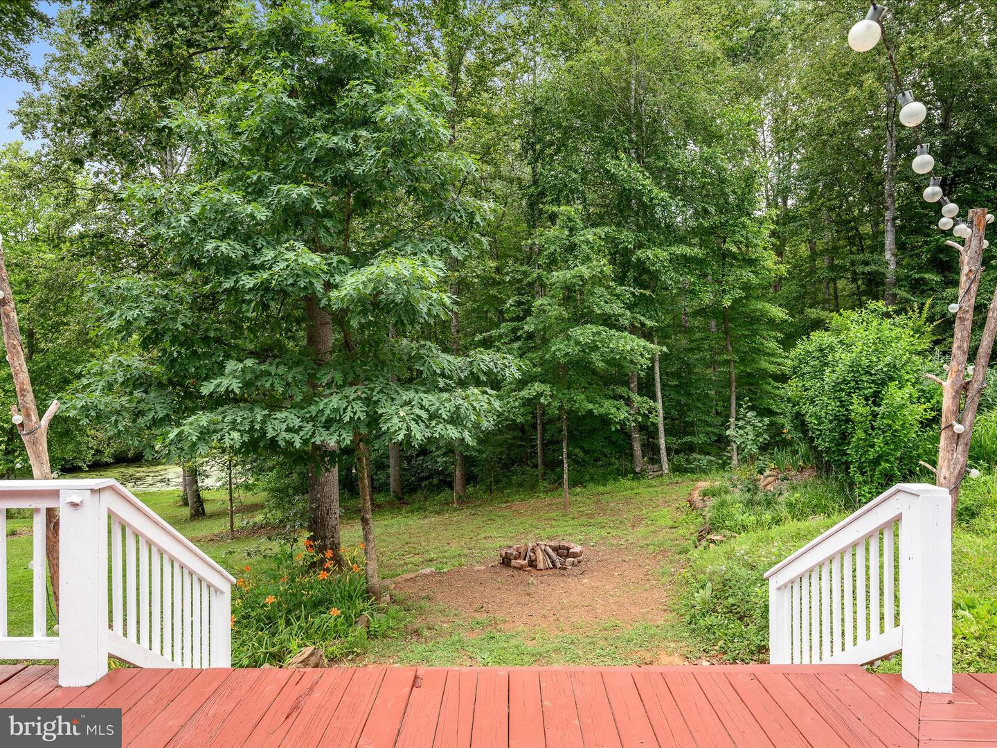13293 BEECHWOOD LN, RIXEYVILLE, Virginia 22737, 4 Bedrooms Bedrooms, ,3 BathroomsBathrooms,Residential,For sale,13293 BEECHWOOD LN,VACU2010778 MLS # VACU2010778