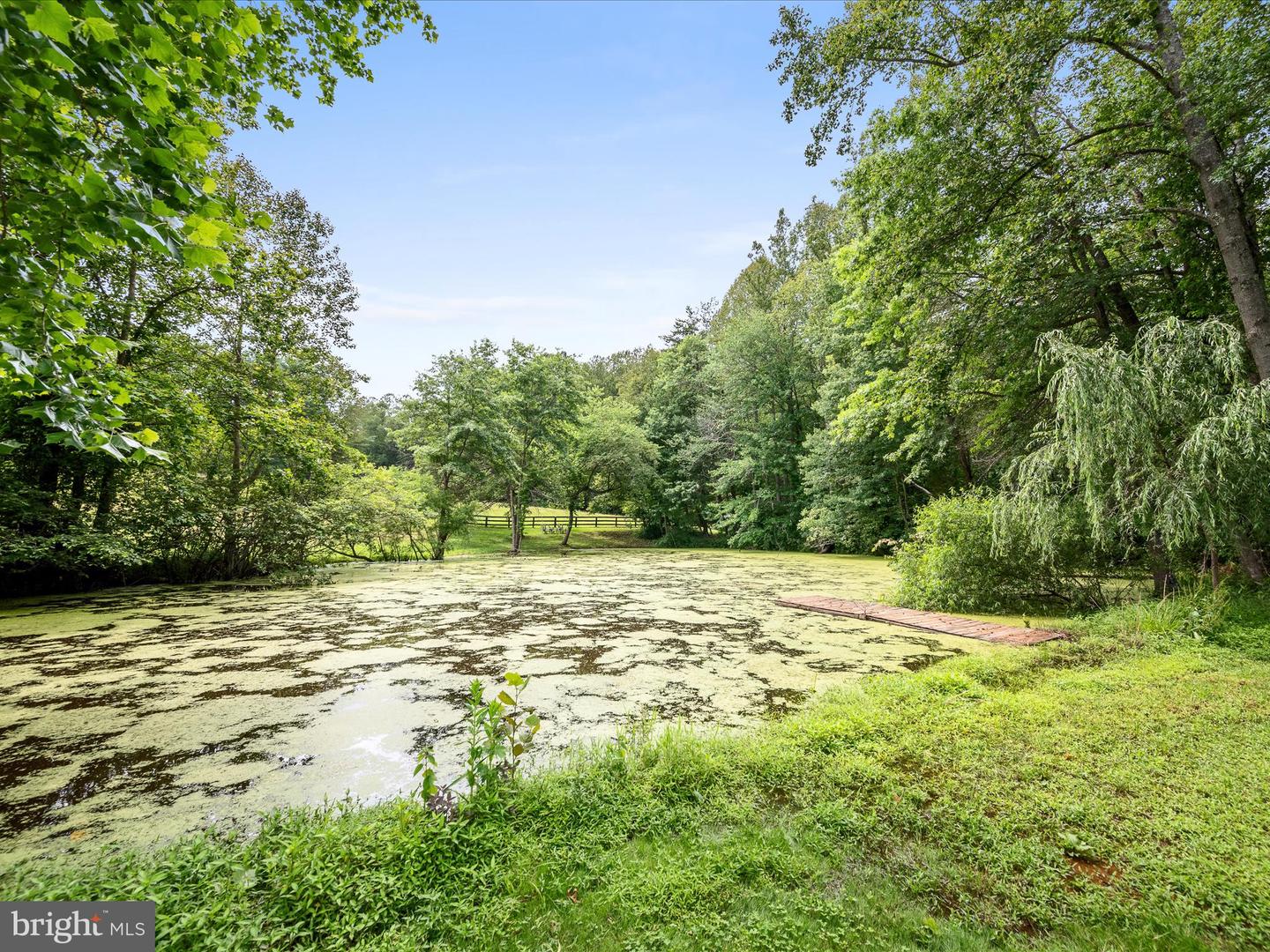 13293 BEECHWOOD LN, RIXEYVILLE, Virginia 22737, 4 Bedrooms Bedrooms, ,3 BathroomsBathrooms,Residential,For sale,13293 BEECHWOOD LN,VACU2010778 MLS # VACU2010778