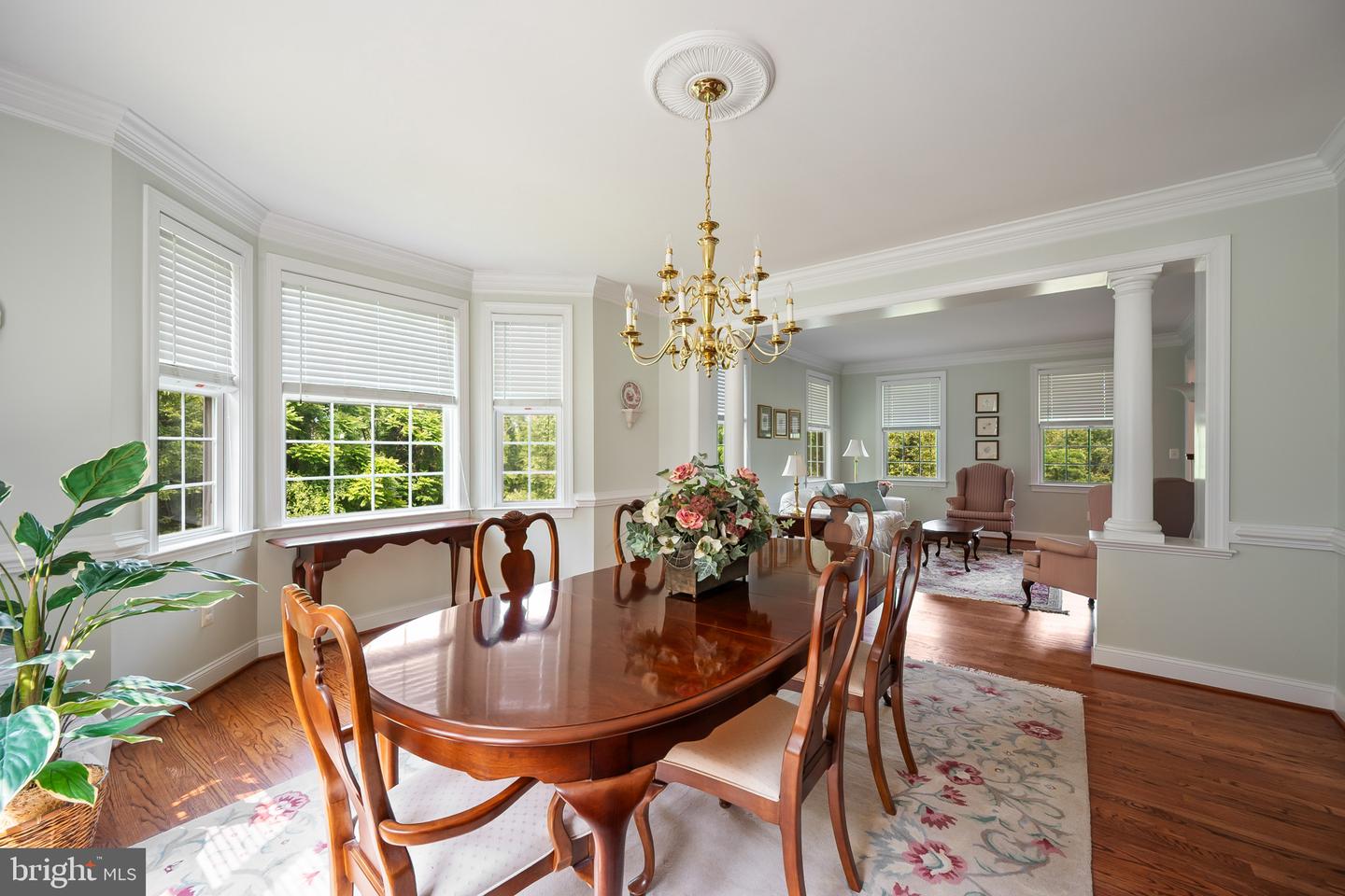 21785 WATSON RD, LEESBURG, Virginia 20175, 4 Bedrooms Bedrooms, ,3 BathroomsBathrooms,Residential,For sale,21785 WATSON RD,VALO2097676 MLS # VALO2097676