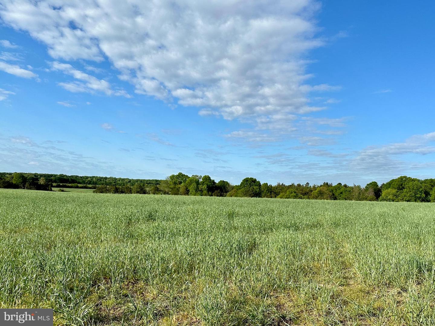 LOT 1-12 ZACHARY TAYLOR HWY, UNIONVILLE, Virginia 22567, ,Land,For sale,LOT 1-12 ZACHARY TAYLOR HWY,VAOR2009724 MLS # VAOR2009724