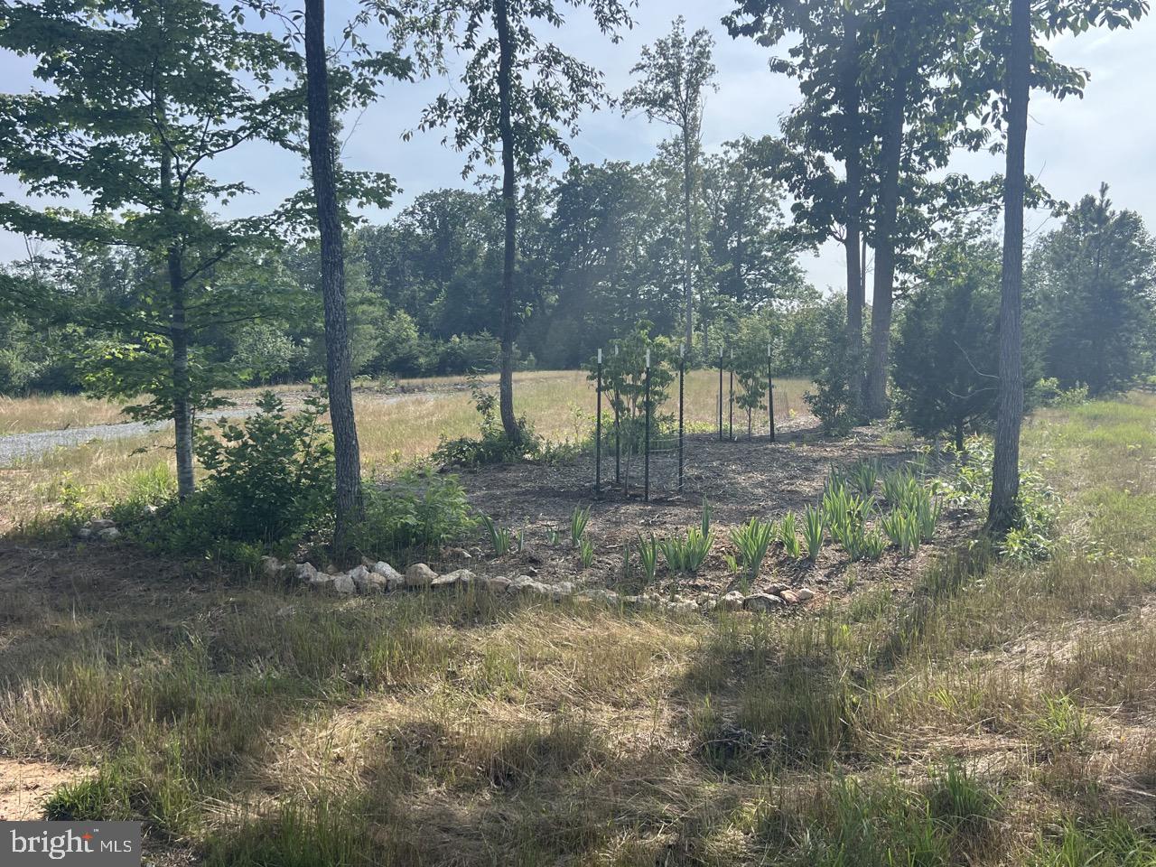 13 JOSHUAS WAY, UNIONVILLE, Virginia 22567, ,Land,For sale,13 JOSHUAS WAY,VAOR2009922 MLS # VAOR2009922