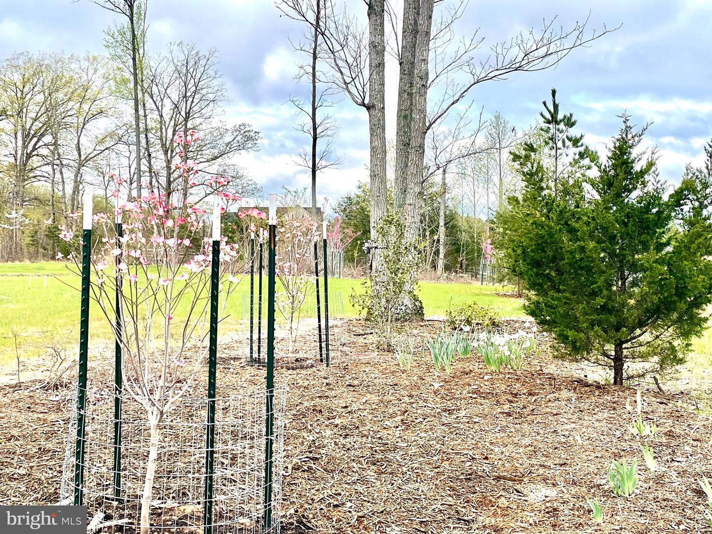 13 JOSHUAS WAY, UNIONVILLE, Virginia 22567, ,Land,For sale,13 JOSHUAS WAY,VAOR2009922 MLS # VAOR2009922