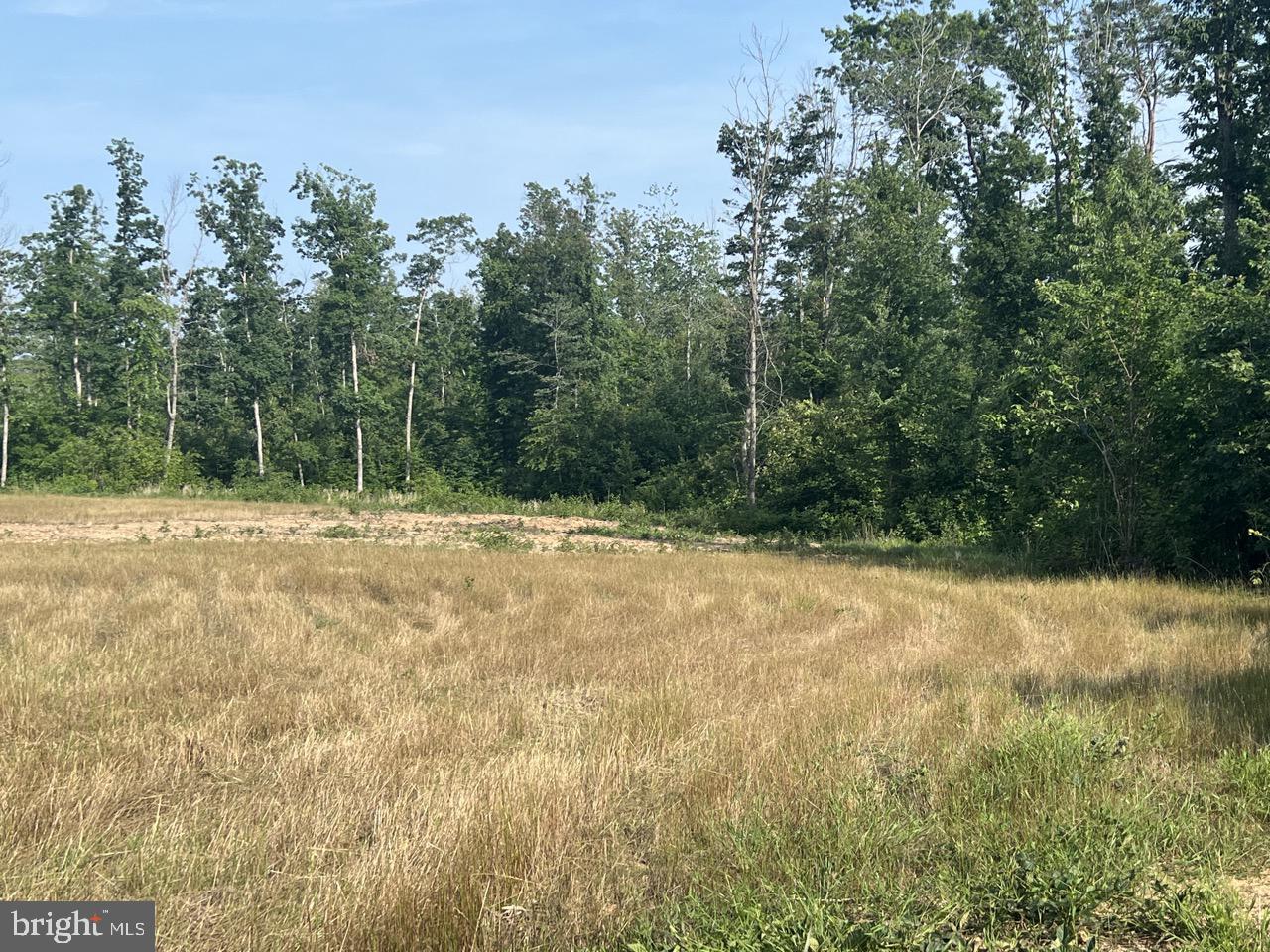 13 JOSHUAS WAY, UNIONVILLE, Virginia 22567, ,Land,For sale,13 JOSHUAS WAY,VAOR2009922 MLS # VAOR2009922