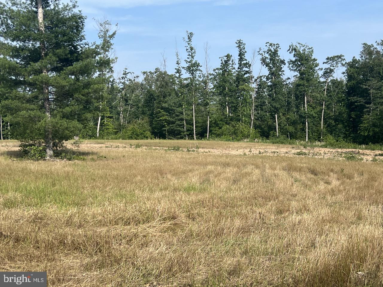 13 JOSHUAS WAY, UNIONVILLE, Virginia 22567, ,Land,For sale,13 JOSHUAS WAY,VAOR2009922 MLS # VAOR2009922
