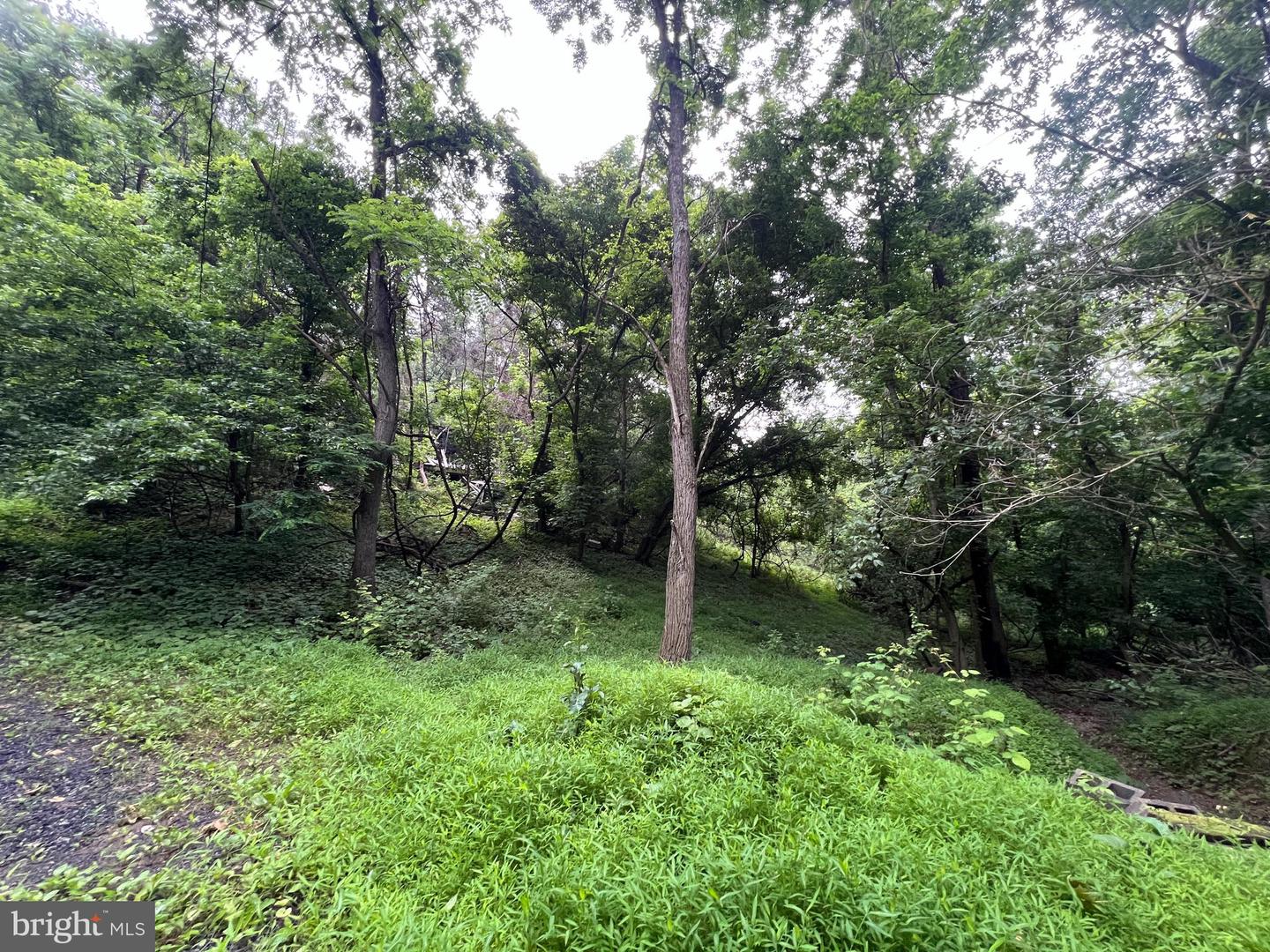 1332 KING DAVID DR, LINDEN, Virginia 22642, ,Land,For sale,1332 KING DAVID DR,VAWR2011460 MLS # VAWR2011460