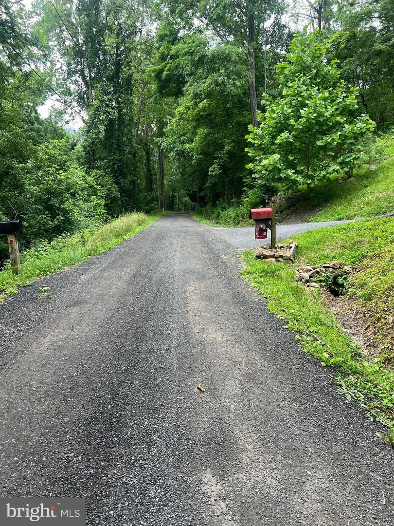 1332 KING DAVID DR, LINDEN, Virginia 22642, ,Land,For sale,1332 KING DAVID DR,VAWR2011460 MLS # VAWR2011460