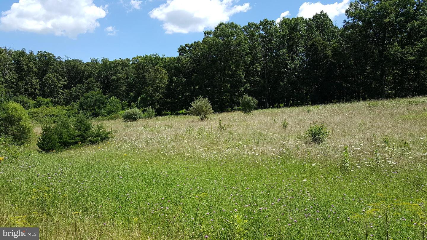 40642 GALLORETTE PL, LEESBURG, Virginia 20175, ,Land,For sale,40642 GALLORETTE PL,VALO2099638 MLS # VALO2099638