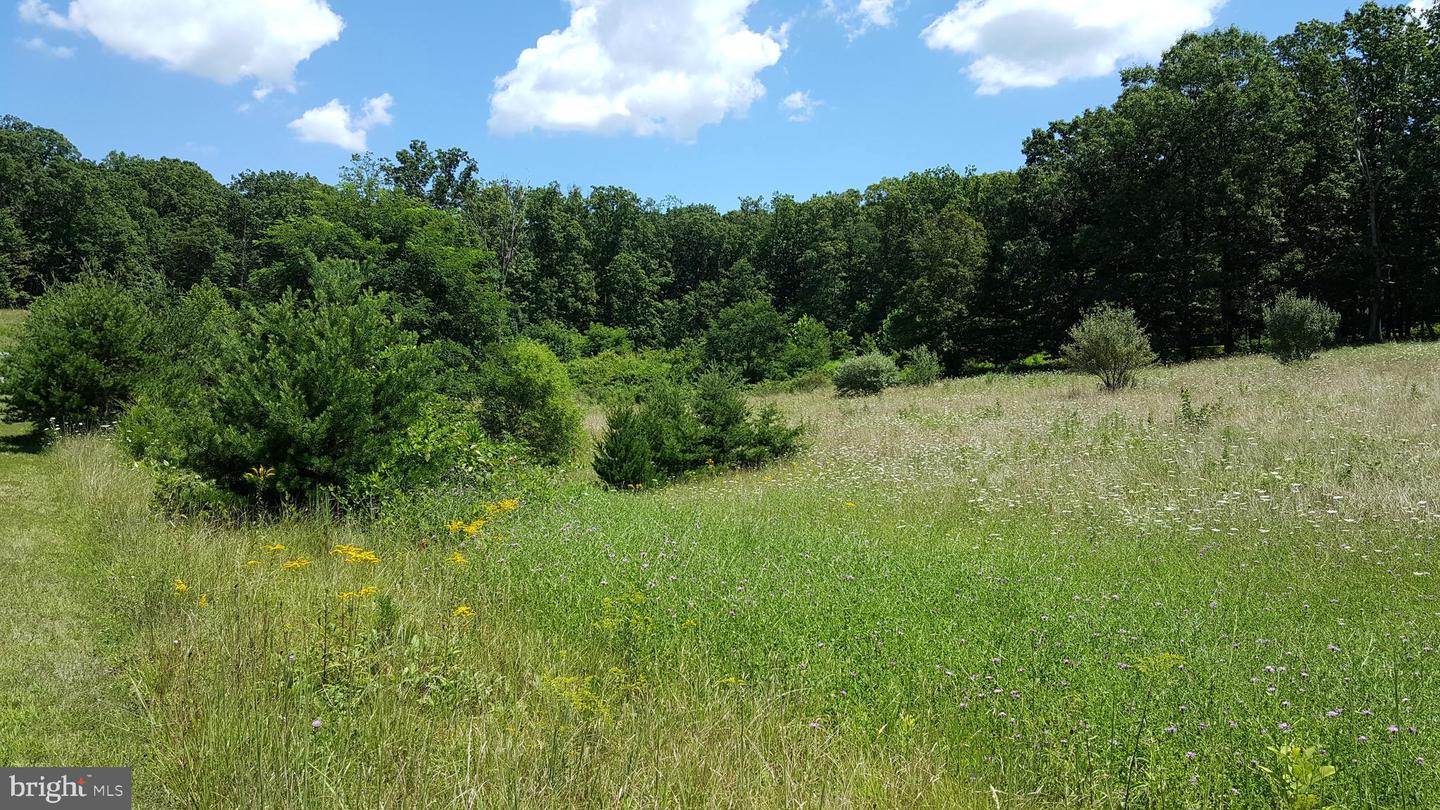 40642 GALLORETTE PL, LEESBURG, Virginia 20175, ,Land,For sale,40642 GALLORETTE PL,VALO2099638 MLS # VALO2099638
