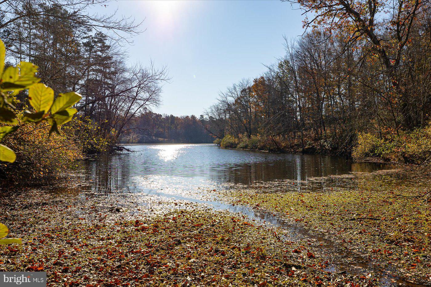 13 & 14 GLEN EAGLES DR, GORDONSVILLE, Virginia 22942, ,Land,For sale,13 & 14 GLEN EAGLES DR,VALA2008046 MLS # VALA2008046