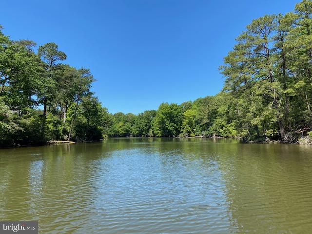 LOT 12 PAYNES SHOP RD, LANCASTER, Virginia 22503, ,Land,For sale,LOT 12 PAYNES SHOP RD,VALV2000836 MLS # VALV2000836