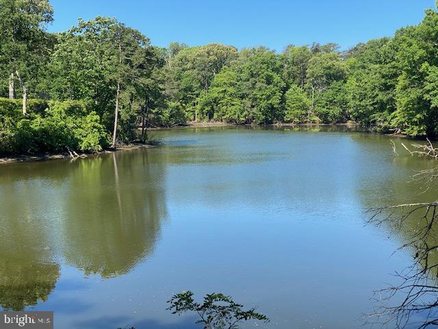 LOT 12 PAYNES SHOP RD, LANCASTER, Virginia 22503, ,Land,For sale,LOT 12 PAYNES SHOP RD,VALV2000836 MLS # VALV2000836