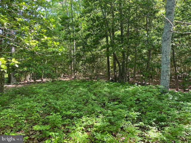 LOT 12 PAYNES SHOP RD, LANCASTER, Virginia 22503, ,Land,For sale,LOT 12 PAYNES SHOP RD,VALV2000836 MLS # VALV2000836