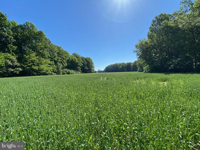 LOT 12 PAYNES SHOP RD, LANCASTER, Virginia 22503, ,Land,For sale,LOT 12 PAYNES SHOP RD,VALV2000836 MLS # VALV2000836