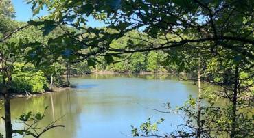 LOT 12 PAYNES SHOP RD, LANCASTER, Virginia 22503, ,Land,For sale,LOT 12 PAYNES SHOP RD,VALV2000836 MLS # VALV2000836