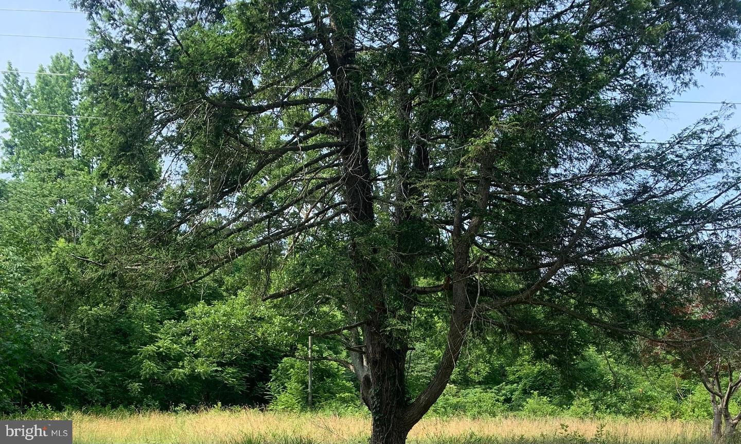 11900 POST OAK RD, SPOTSYLVANIA, Virginia 22551, ,Land,For sale,11900 POST OAK RD,VASP2033976 MLS # VASP2033976