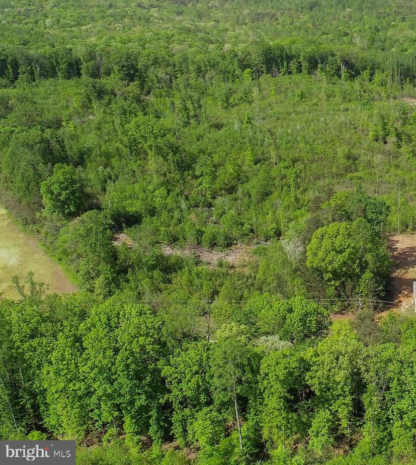 MONROVIA RD, ORANGE, Virginia 22960, ,Land,For sale,MONROVIA RD,VAOR2009954 MLS # VAOR2009954