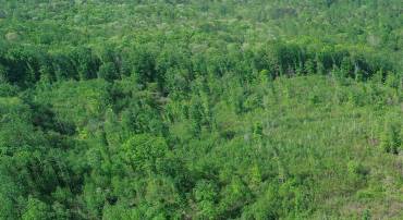MONROVIA RD, ORANGE, Virginia 22960, ,Land,For sale,MONROVIA RD,VAOR2009954 MLS # VAOR2009954
