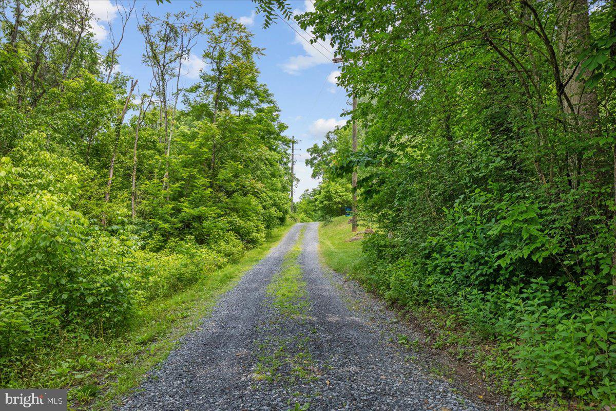 2245 BUCK MOUNTAIN RD, BENTONVILLE, Virginia 22610, 2 Bedrooms Bedrooms, ,1 BathroomBathrooms,Residential,For sale,2245 BUCK MOUNTAIN RD,VAWR2010830 MLS # VAWR2010830