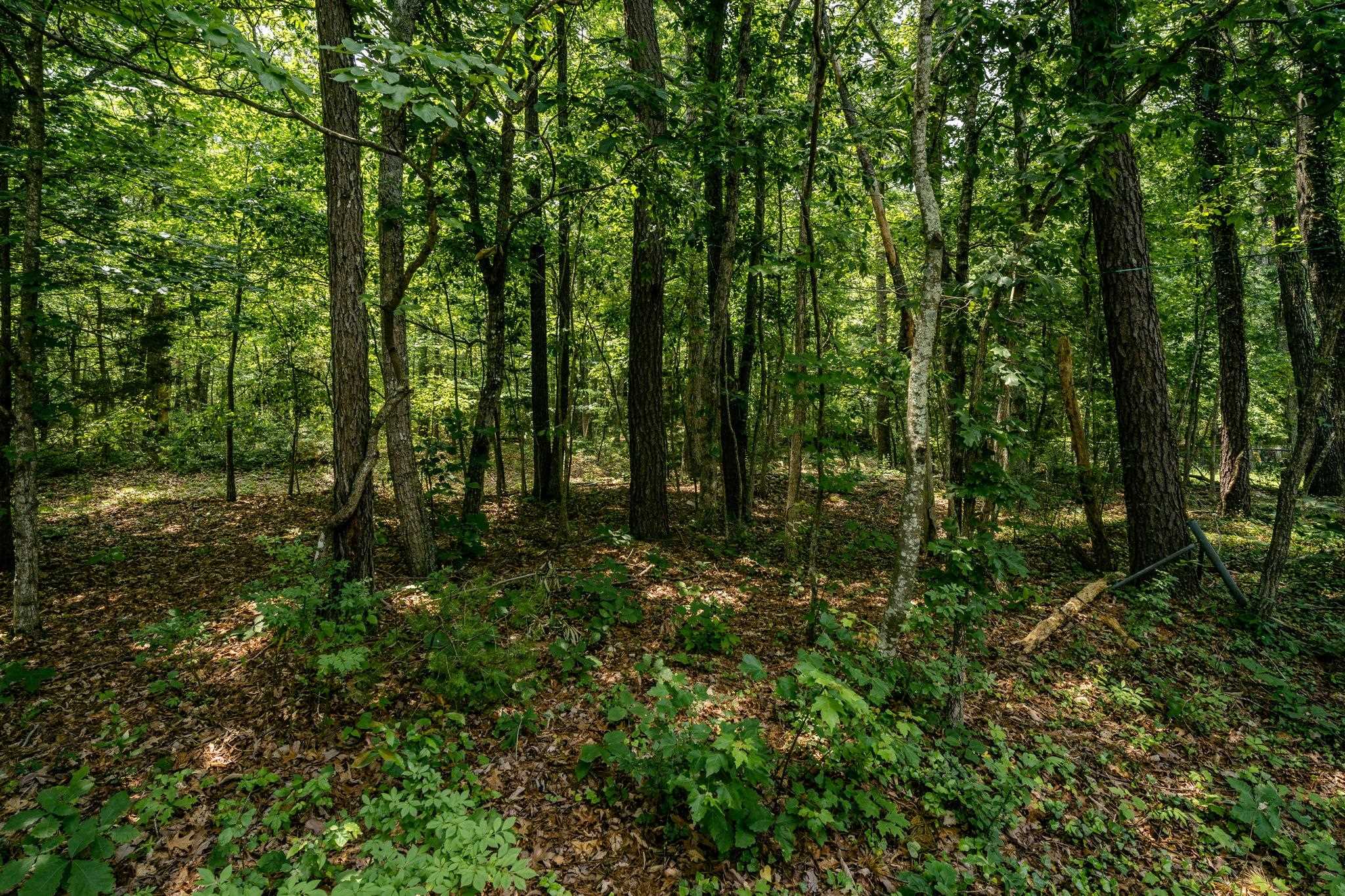 49 SUGARCAMP LN, STUARTS DRAFT, Virginia 24477, 3 Bedrooms Bedrooms, ,2 BathroomsBathrooms,Residential,49 SUGARCAMP LN,665777 MLS # 665777