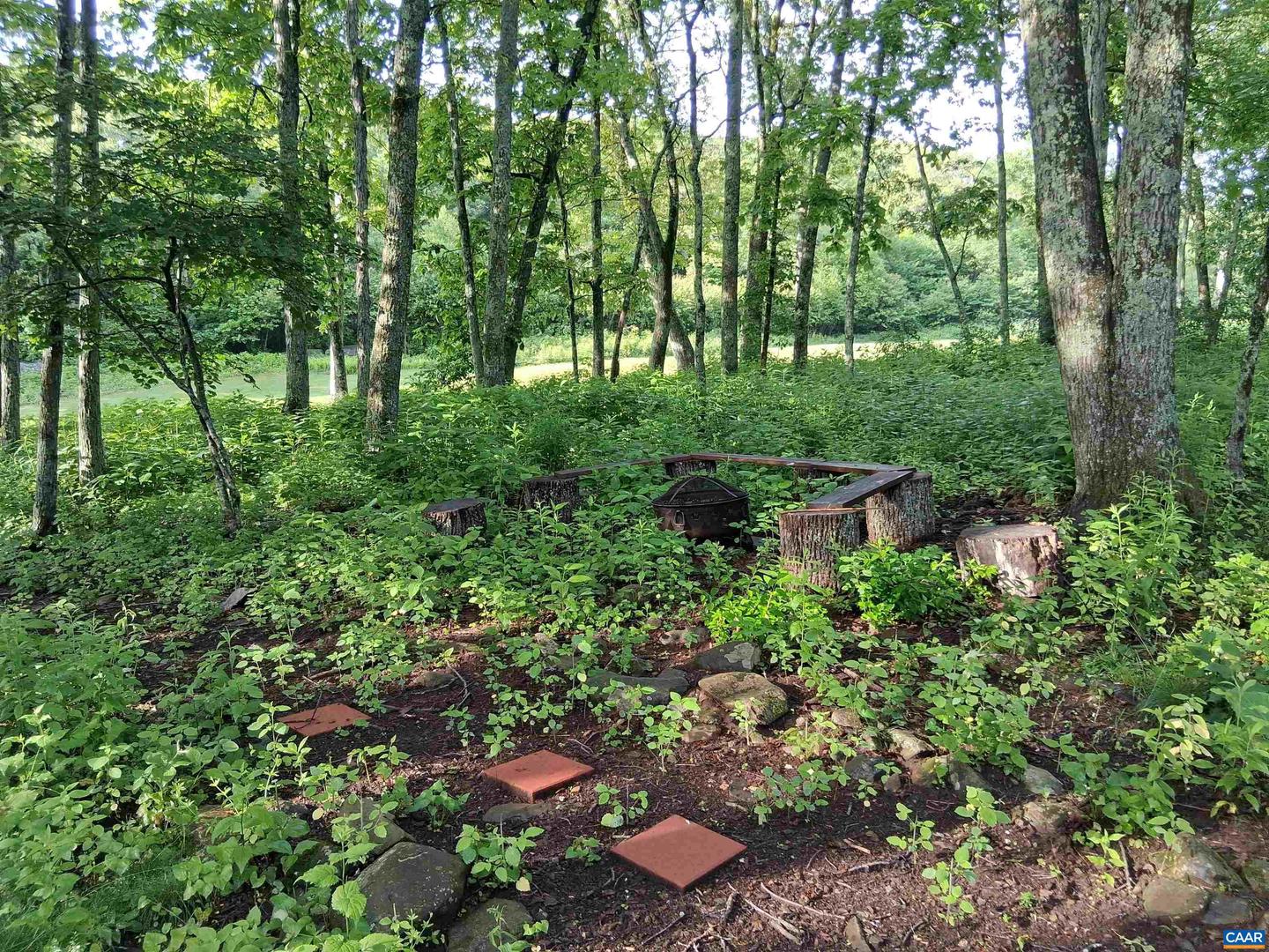 67 S FOREST DR, WINTERGREEN RESORT, Virginia 22967, 4 Bedrooms Bedrooms, ,3 BathroomsBathrooms,Residential,For sale,67 S FOREST DR,665037 MLS # 665037