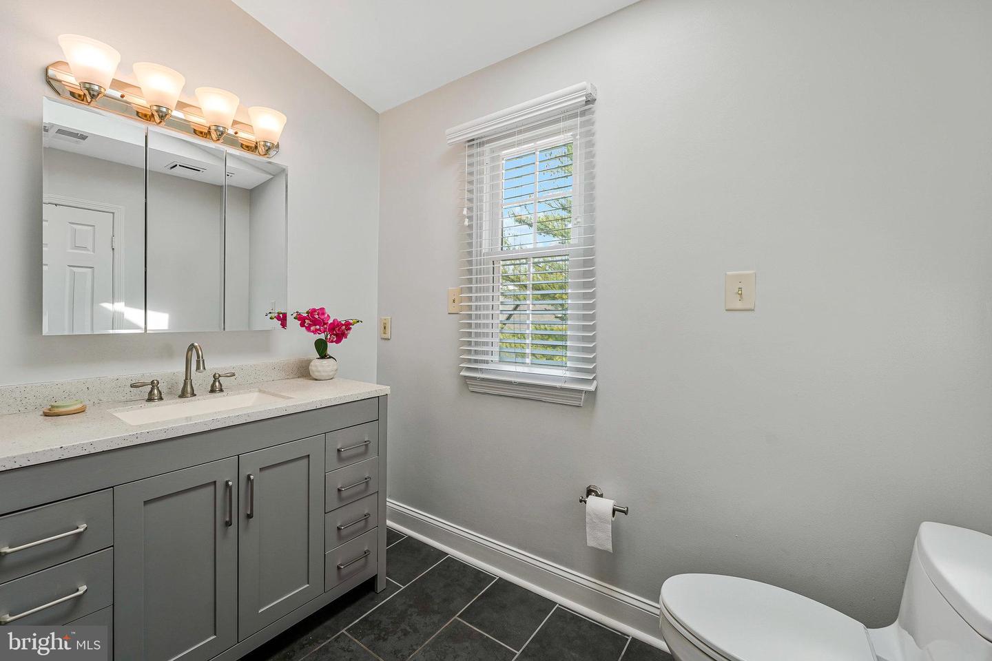 46848 LACROYS POINT TER, STERLING, Virginia 20165, 3 Bedrooms Bedrooms, ,3 BathroomsBathrooms,Residential,For sale,46848 LACROYS POINT TER,VALO2098272 MLS # VALO2098272