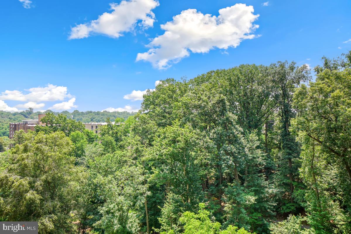 5902 MOUNT EAGLE DR #718, ALEXANDRIA, Virginia 22303, 3 Bedrooms Bedrooms, 10 Rooms Rooms,2 BathroomsBathrooms,Residential,For sale,5902 MOUNT EAGLE DR #718,VAFX2244920 MLS # VAFX2244920
