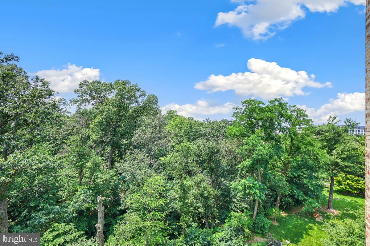 5902 MOUNT EAGLE DR #718, ALEXANDRIA, Virginia 22303, 3 Bedrooms Bedrooms, 10 Rooms Rooms,2 BathroomsBathrooms,Residential,For sale,5902 MOUNT EAGLE DR #718,VAFX2244920 MLS # VAFX2244920