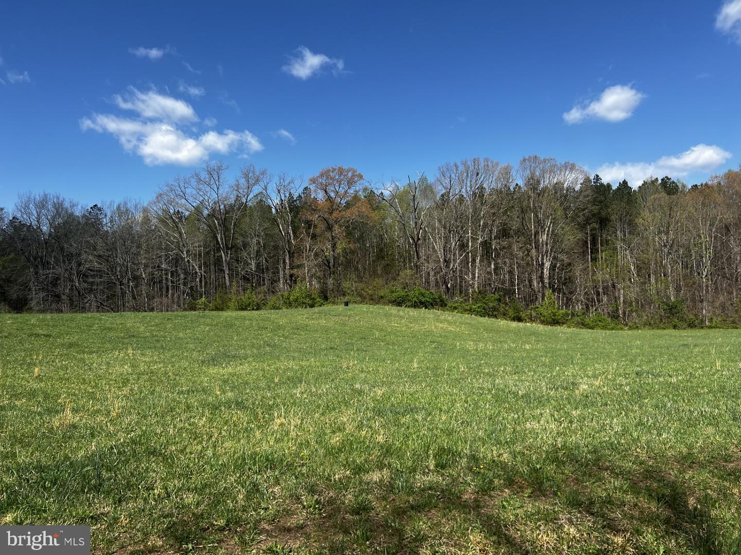 19484 WOODLAWN FARM DR, ORANGE, Virginia 22960, 3 Bedrooms Bedrooms, ,3 BathroomsBathrooms,Farm,For sale,19484 WOODLAWN FARM DR,VAOR2009620 MLS # VAOR2009620