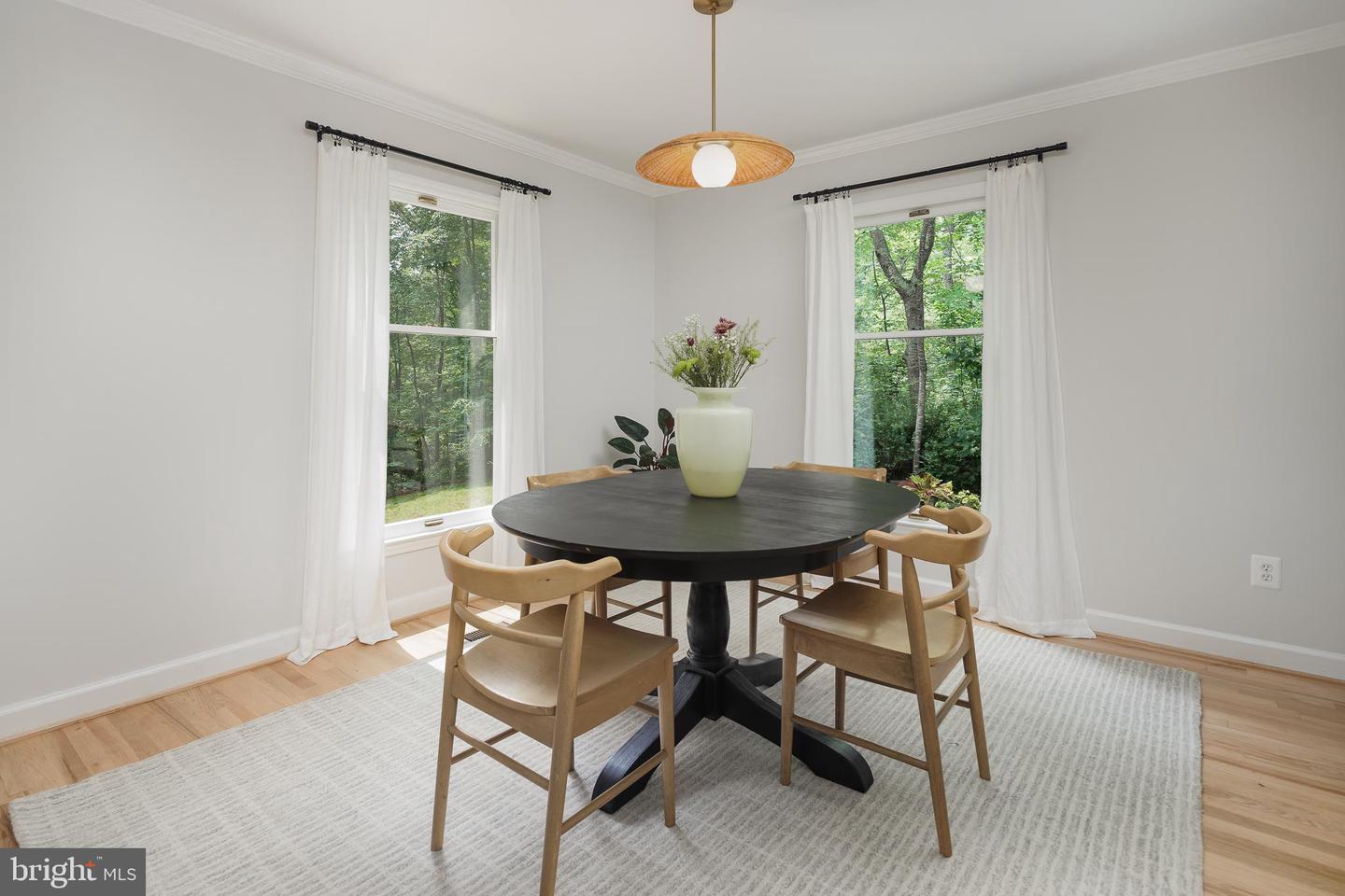 20808 WILD GOOSE LN, LEESBURG, Virginia 20175, 4 Bedrooms Bedrooms, ,3 BathroomsBathrooms,Residential,For sale,20808 WILD GOOSE LN,VALO2098990 MLS # VALO2098990