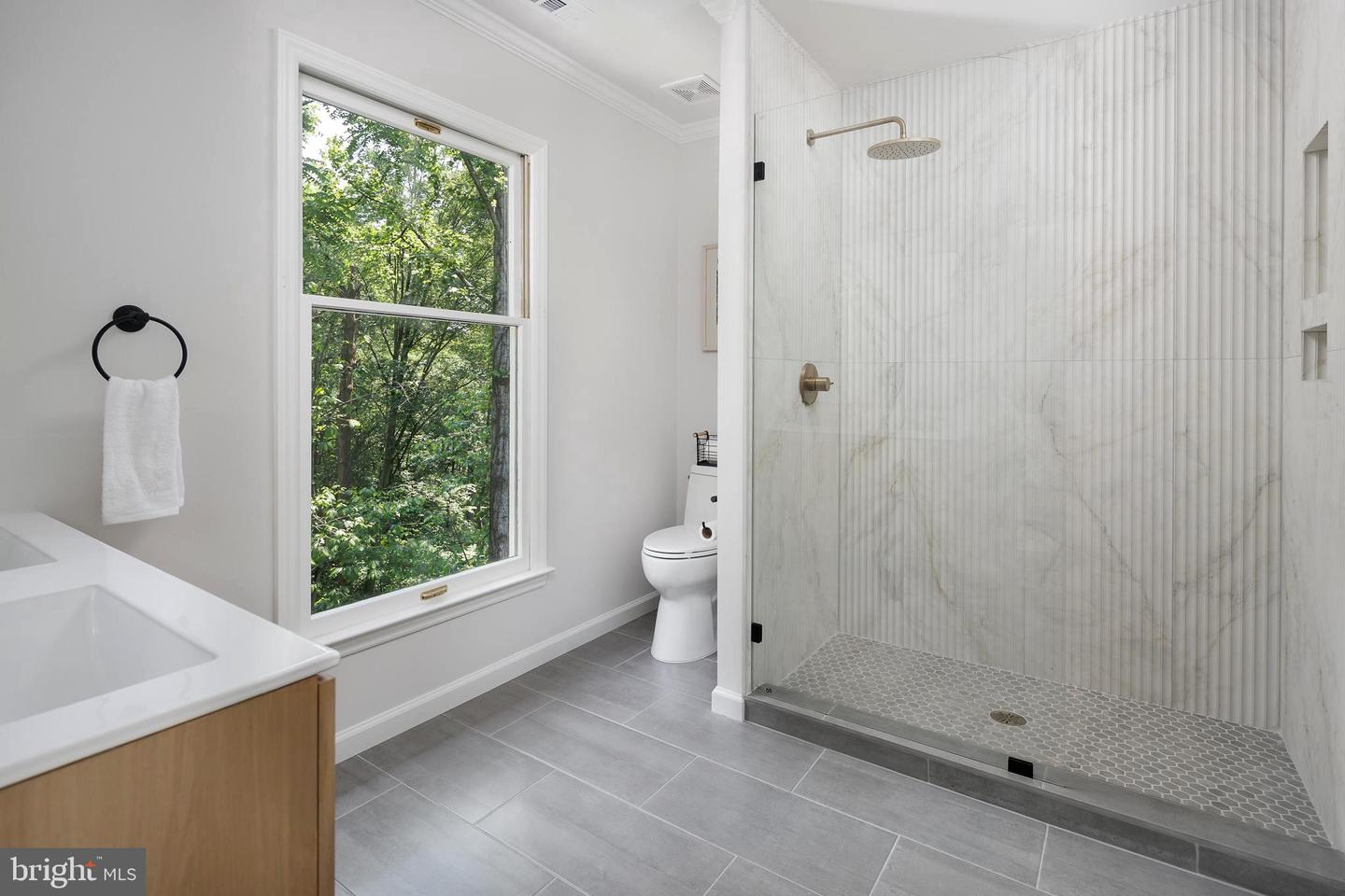 20808 WILD GOOSE LN, LEESBURG, Virginia 20175, 4 Bedrooms Bedrooms, ,3 BathroomsBathrooms,Residential,For sale,20808 WILD GOOSE LN,VALO2098990 MLS # VALO2098990