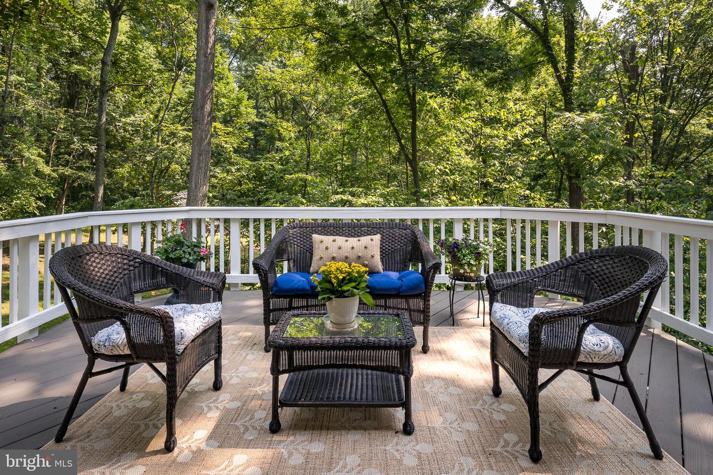 20808 WILD GOOSE LN, LEESBURG, Virginia 20175, 4 Bedrooms Bedrooms, ,3 BathroomsBathrooms,Residential,For sale,20808 WILD GOOSE LN,VALO2098990 MLS # VALO2098990