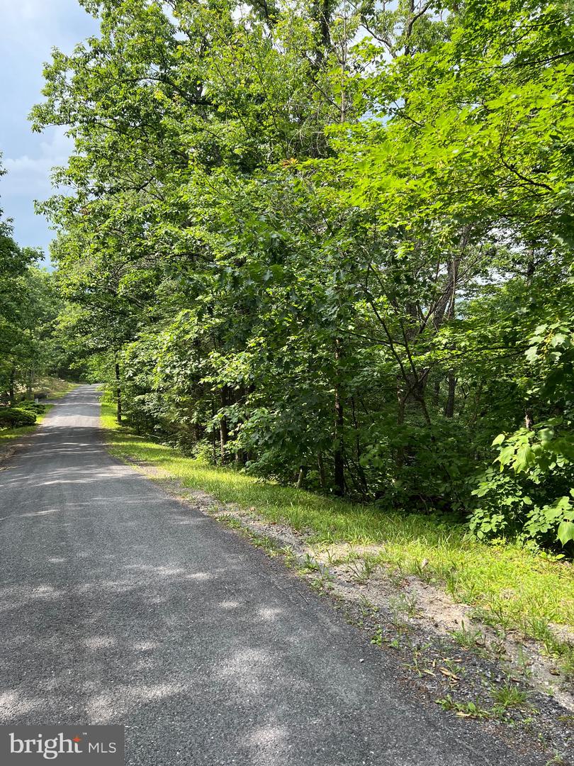 LOT 156 & 158 VICKI, BASYE, Virginia 22810, ,Land,For sale,LOT 156 & 158 VICKI,VASH2011722 MLS # VASH2011722