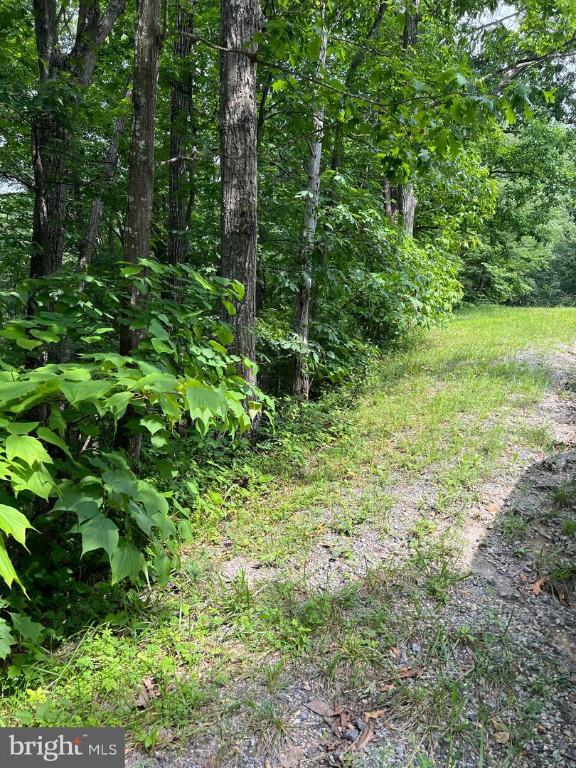 LOT 156 & 158 VICKI, BASYE, Virginia 22810, ,Land,For sale,LOT 156 & 158 VICKI,VASH2011722 MLS # VASH2011722