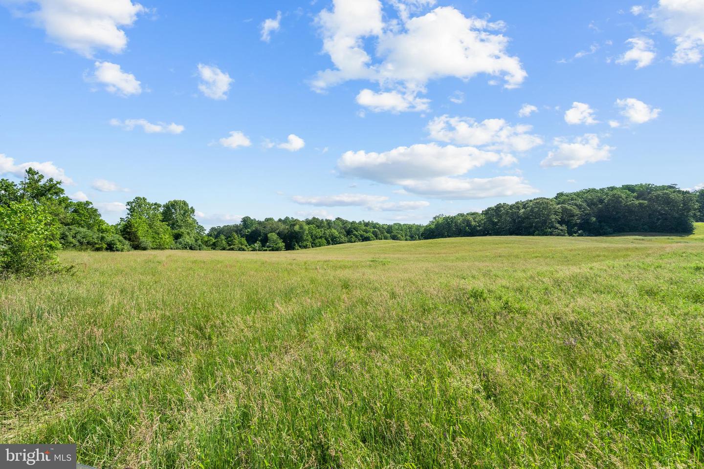 PARCEL 4 (TAX ID 7-41G) ELLETT LN, RIXEYVILLE, Virginia 22737, ,Land,For sale,PARCEL 4 (TAX ID 7-41G) ELLETT LN,VACU2010808 MLS # VACU2010808